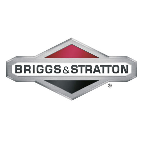 Briggs&Stratton Rasenmäheröl