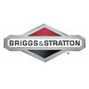 Briggs&Stratton Rasenmäheröl
